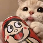 Melissa Montoya Avatar