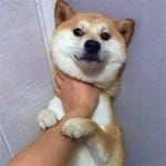 Laura Martínez Avatar